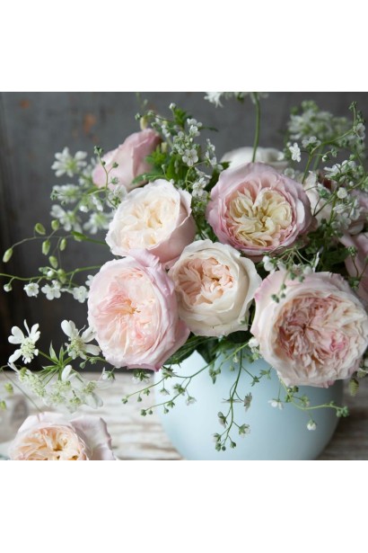 Троянда англійська Кейра - букет квітів у вазі